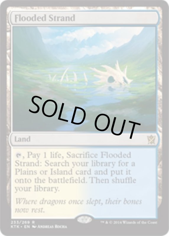 画像2: 溢れかえる岸辺/Flooded Strand　 (2)