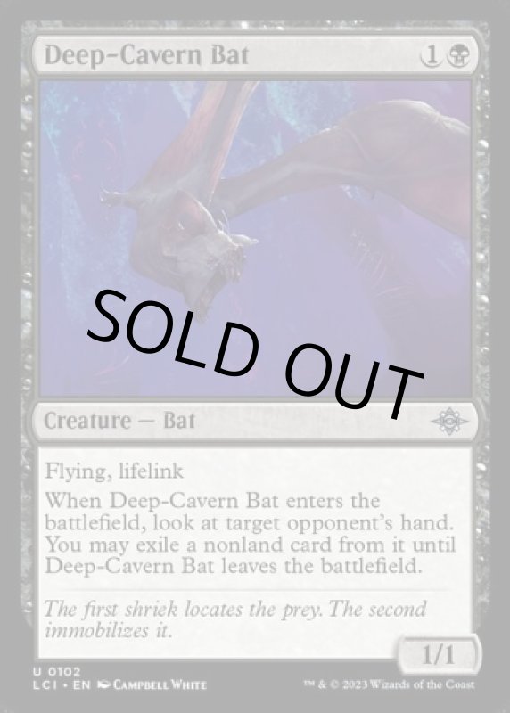 画像2: 大洞窟のコウモリ/Deep-Cavern Bat (2)