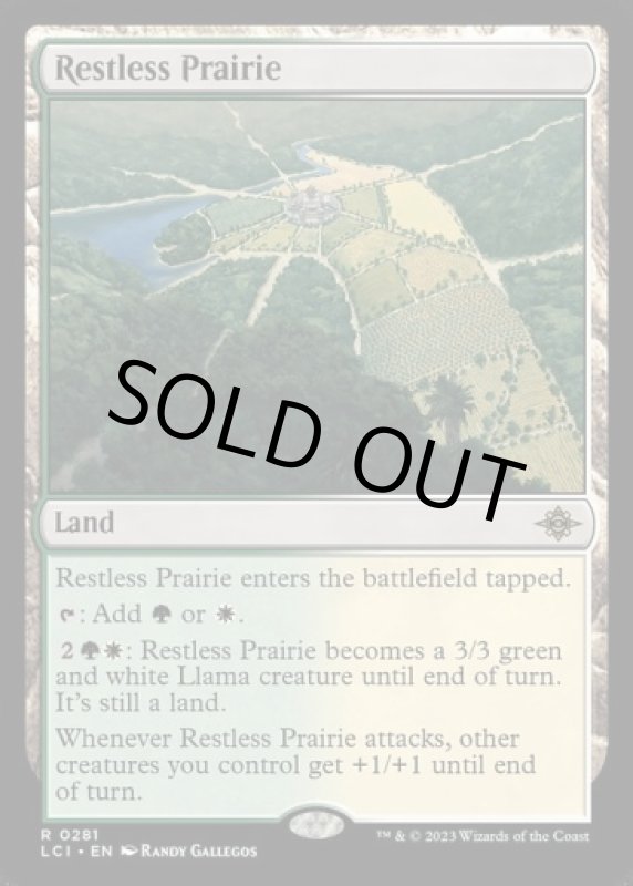 画像2: 不穏な大草原/Restless Prairie (2)