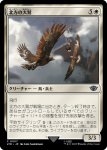 画像1: 北方の大鷲/Eagles of the North (1)