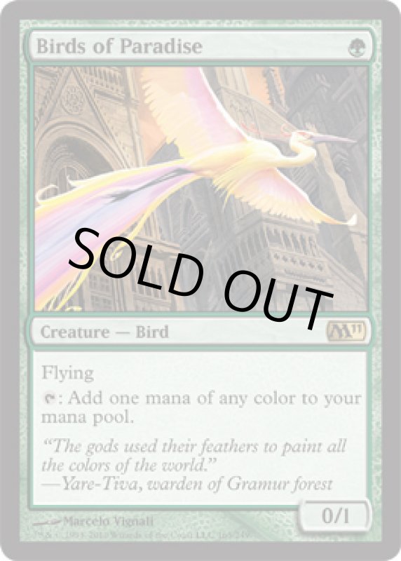 画像2: 極楽鳥/Birds of Paradise  (2)