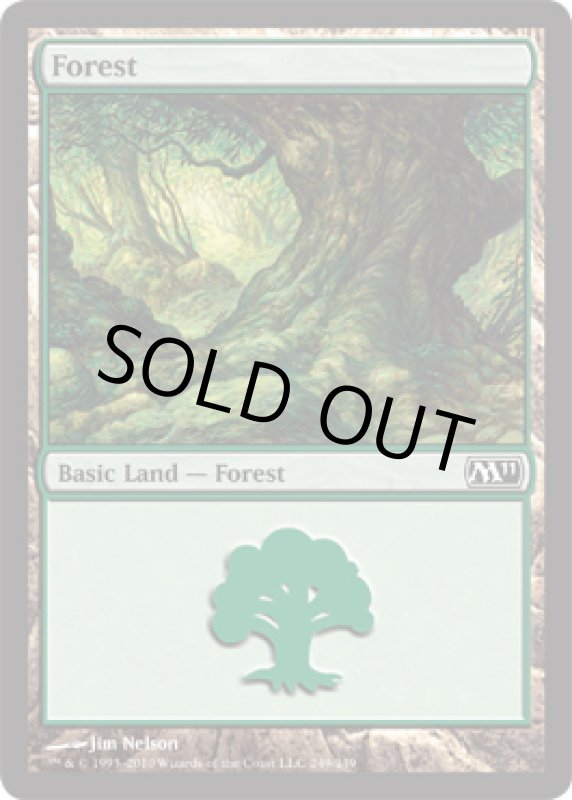 画像2: 森/Forest  (2)