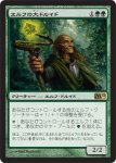 画像1: エルフの大ドルイド/Elvish Archdruid　 (1)