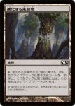 画像1: 進化する未開地/Evolving Wilds　 (1)