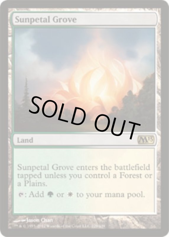 画像2: 陽花弁の木立ち/Sunpetal Grove  (2)