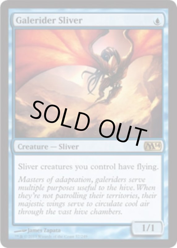 画像2: 風乗りスリヴァー/Galerider Sliver  (2)