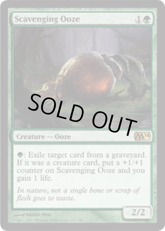 画像2: 漁る軟泥/Scavenging Ooze  (2)