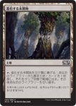 画像1: 進化する未開地/Evolving Wilds　 (1)