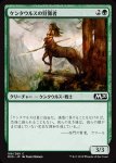 画像1: ケンタウルスの狩猟者/Centaur Courser　 (1)