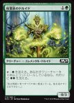 画像1: 枝葉族のドルイド/Leafkin Druid　 (1)