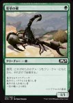 画像1: 菅草の蠍/Sedge Scorpion　 (1)
