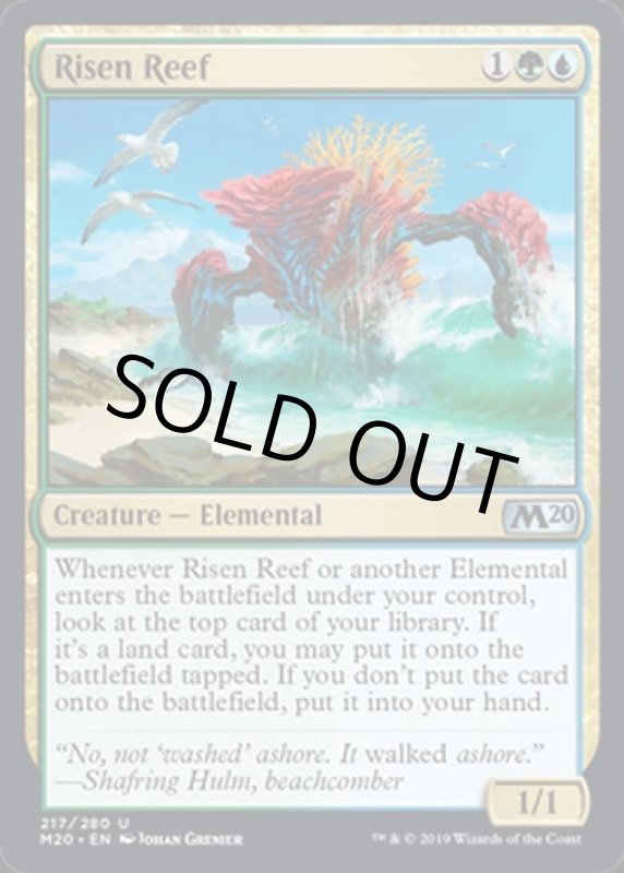 画像2: 発現する浅瀬/Risen Reef  (2)