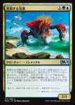 画像1: 発現する浅瀬/Risen Reef　 (1)