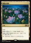 画像1: 睡蓮の原野/Lotus Field　 (1)