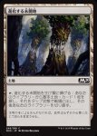 画像1: 進化する未開地/Evolving Wilds　 (1)