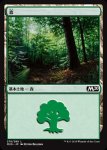 画像1: 森/Forest　 (1)