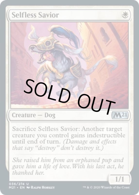 画像2: 無私の救助犬/Selfless Savior  (2)