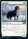 画像1: 高山の番犬/Alpine Watchdog　 (1)