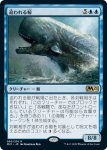 画像1: 追われる鯨/Pursued Whale　 (1)