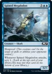 画像2: 有刺メガロドン/Spined Megalodon　 (2)