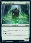 画像1: ラノワールの幻想家/Llanowar Visionary　 (1)