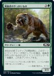 画像1: 剣歯虎のやっかいもの/Sabertooth Mauler　 (1)