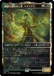 画像1: 【FOIL】【ショーケース】運命に導かれし者、ケイリクス/Calix, Guided by Fate (1)