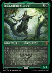 画像1: 【FOIL】【エッチング】復活した精霊信者、ニッサ/Nissa, Resurgent Animist (1)