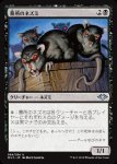 画像1: 墓所のネズミ/Crypt Rats (1)