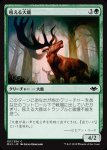 画像1: 吼える大鹿/Bellowing Elk (1)