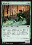 画像1: 春花のドルイド/Springbloom Druid (1)