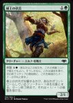 画像1: 樹上の伏兵/Treetop Ambusher (1)