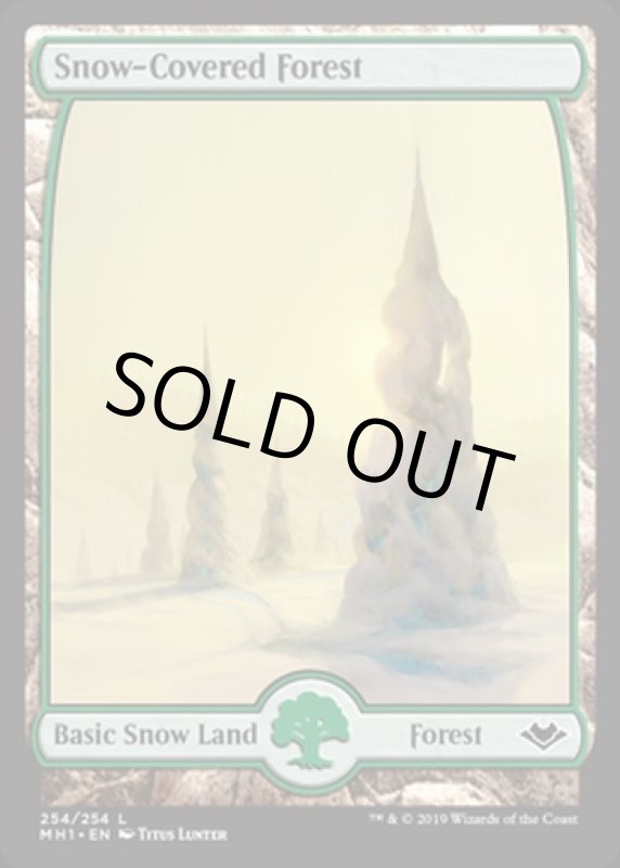 画像2: 冠雪の森/Snow-Covered Forest (2)