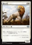 画像1: 群れの王/King of the Pride (1)