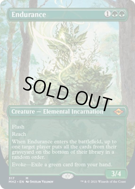 画像2: 【フルアート】忍耐/Endurance (2)