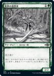 画像1: 【スケッチ】翡翠の復讐者/Jade Avenger (1)