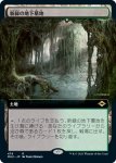 画像1: 【拡張】新緑の地下墓地/Verdant Catacombs (1)