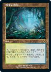 画像1: 【旧枠】霧深い雨林/Misty Rainforest (1)