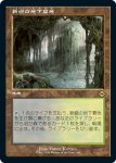 画像1: 【旧枠】新緑の地下墓地/Verdant Catacombs (1)