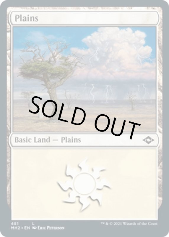 画像2: 平地/Plains (2)