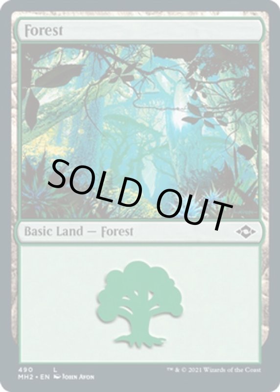 画像2: 森/Forest (2)