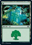 画像1: 森/Forest (1)