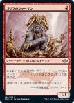 画像1: ゴリラのシャーマン/Gorilla Shaman (1)