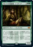 画像1: アルゴスの庇護者、ティタニア/Titania, Protector of Argoth (1)