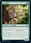 画像1: リスの君主/Squirrel Sovereign (1)