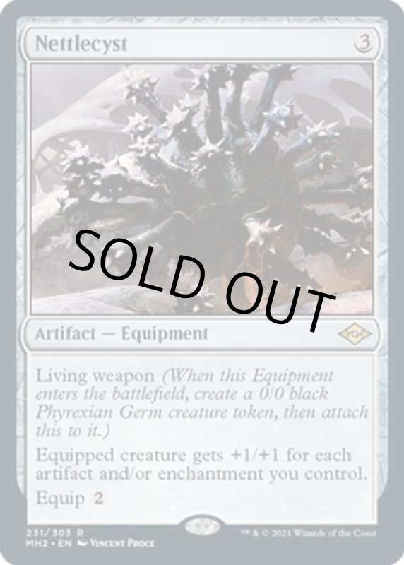 画像2: イラクサ嚢胞/Nettlecyst (2)