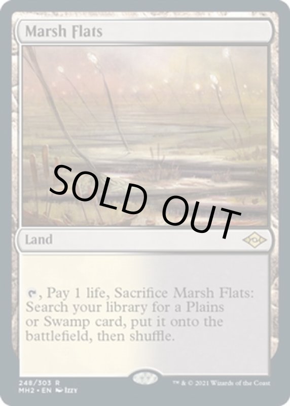 画像2: 湿地の干潟/Marsh Flats (2)