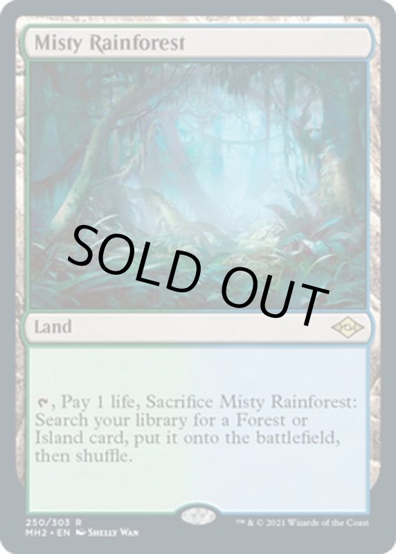 画像2: 霧深い雨林/Misty Rainforest (2)