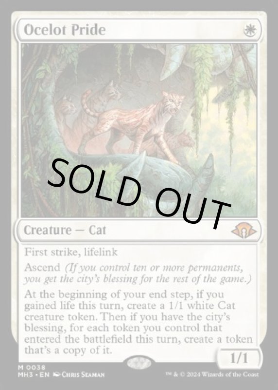 画像2: オセロットの群れ/Ocelot Pride (2)