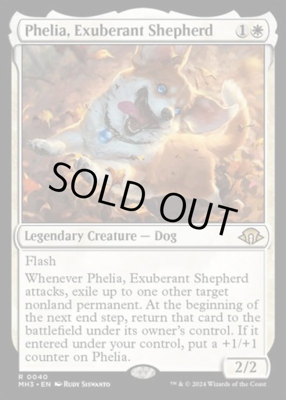 画像2: 溌剌の牧羊犬、フィリア/Phelia, Exuberant Shepherd (2)